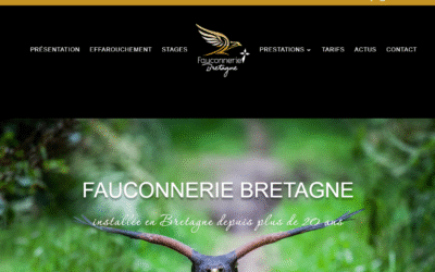 Janvier 2025-mise en ligne d&rsquo;un site internet d&rsquo;un fauconnier